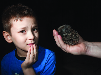 Image showing  Boy with hedgehog