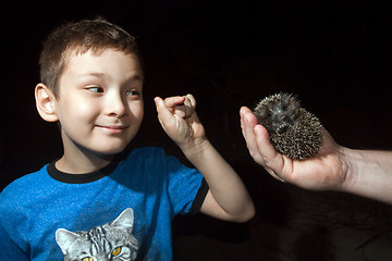 Image showing  Boy with hedgehog