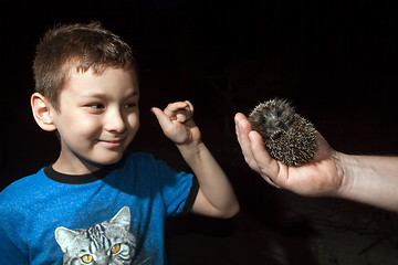 Image showing  Boy with hedgehog