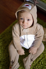 Image showing Baby Boy or Girl Dressed in Animal Costume