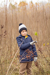 Image showing Child Was Lost in the Forest