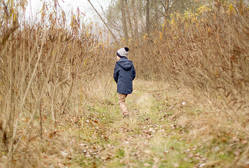 Image showing Child Was Lost in the Forest