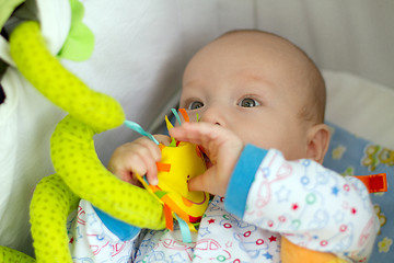 Image showing Baby Boy or Girl lying Down in Pram