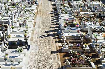 Image showing Catholic cemetery in Alentejo, Portugal