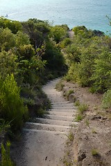 Image showing Path with stair in New Zealand