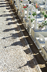 Image showing Catholic cemetery in Alentejo, Portugal