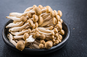 Image showing Buna Shimeji - edible mushroom from East Asia