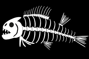 Image showing Skeleton of fish on white background is insulated