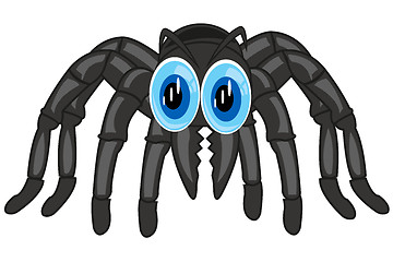 Image showing Poisonous spider tarantula on white background is insulated