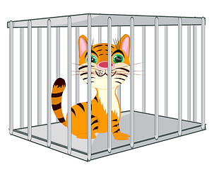 Image showing Cartoon of the wildlife tiger in steel hutch