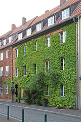 Image showing Green Facade