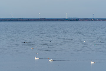 Image showing Beautiful view with windmills by the coast