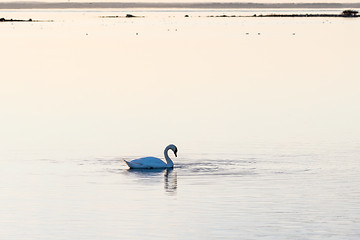 Image showing Evening by an absolutely calm water