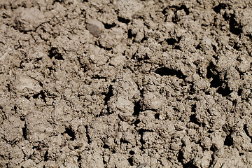 Image showing Soil prepared for cultivation.