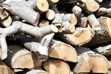 Image showing Background of dry chopped firewood