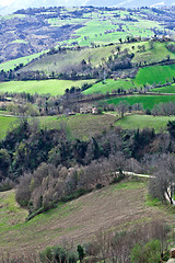 Image showing Green spring lush countryside