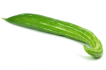 Image showing Snake gourd isolated