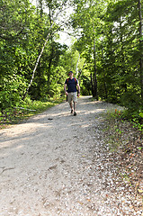 Image showing Man walking on forest trail