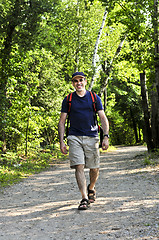 Image showing Man walking on forest trail