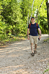 Image showing Man walking on forest trail