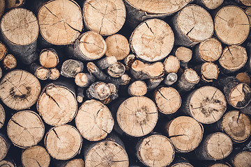 Image showing Pile of cut wooden logs