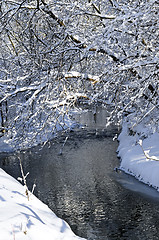 Image showing Winter landscape