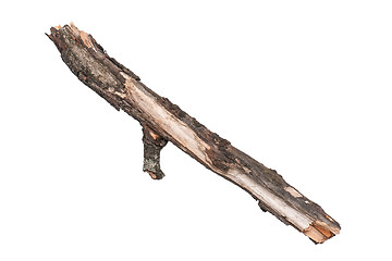 Image showing Dry tree branch on white