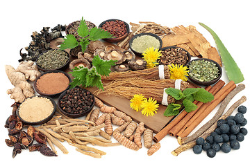 Image showing Adaptogen Herb and Spice Food Selection