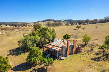 Image showing Run down abandoned farm house now has the run of sheep