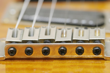 Image showing Guitar Macro