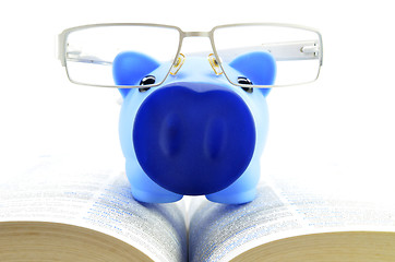 Image showing Blue piggy bank on a text books