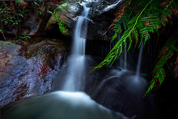 Image showing Leura Cascades waterfall