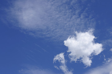 Image showing White Puffy Cloud