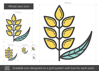 Image showing Wheat ears line icon.