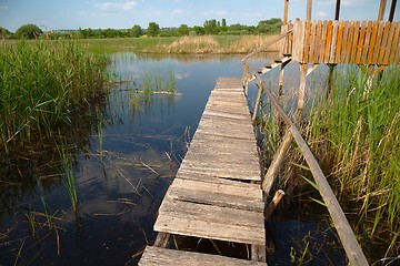 Image showing Swamp walking path