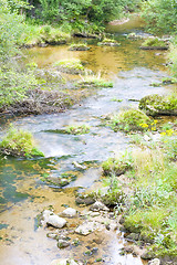 Image showing Stream in the Green