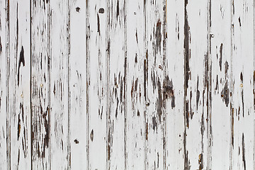 Image showing Old wooden white door background.