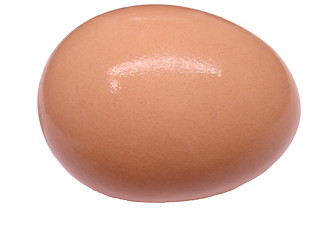 Image showing Brown Egg