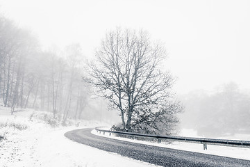 Image showing Lonely tree in a highway curve in the winter