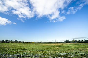 Image showing Landscape with frozen green field in the fall