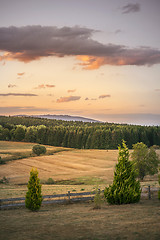 Image showing Rural countryside landscape in the sunset