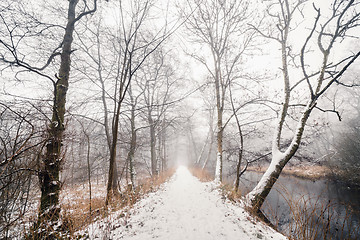 Image showing Snowy trail in a misty forest with a river