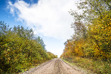 Image showing Autumn colors on trees by the roadside of a dirt trail