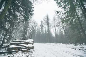 Image showing Woodpile in a misty forest with snow