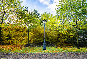 Image showing Autumn scenery with a retro street lamp in a park