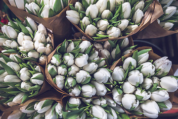 Image showing White tulip bouquets in paper bags