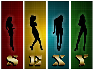 Image showing Sexy Silhouette