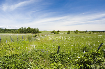 Image showing Country side