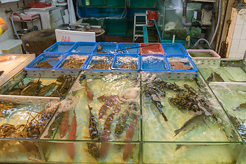 Image showing Fish Shop