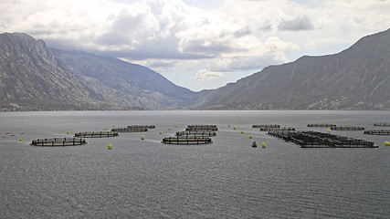 Image showing Aquaculture